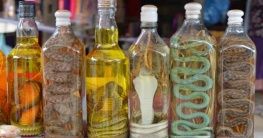 Schlangenschnaps