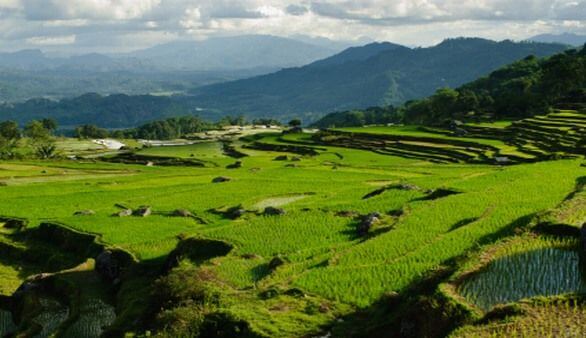 Tana Toraja