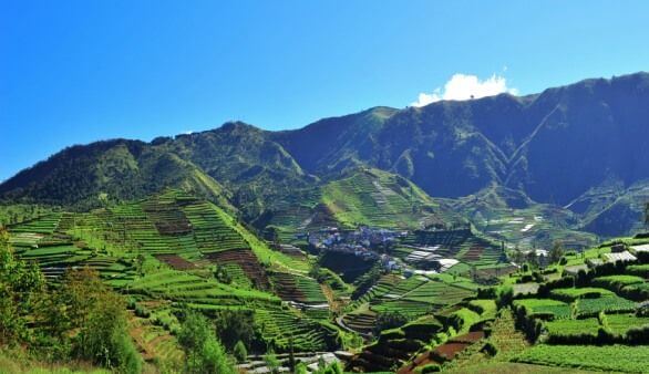 Dieng Plateau