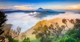 Nationalpark auf Java