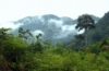 Borneo